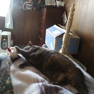 Meet your Posher, Sharon